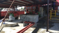Machine de fabrication de barquettes à œufs pour ligne de production, pour œufs de dinde, prix abordable