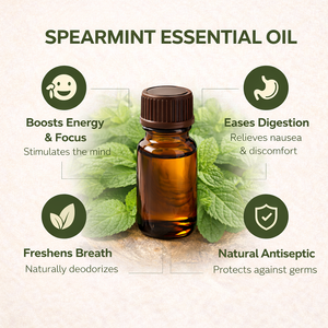Aceite Esencial de Menta Verde Puro y Natural para Aromaterapia, Cuidado Refrescante para Piel y Cabello, Suministro al por Mayor - Product Image 3