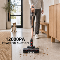 Aspirateur sans fil 150W 12000Pa, filtration multicyclonique avec réservoir de poussière de 900 ml pour le nettoyage quotidien des sols CE FCC
