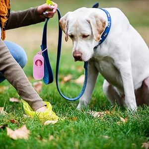 ที่เก็บถุงเก็บอุจจาระสุนัขแบบพกพา Huamaohengchun - อุปกรณ์จัดเก็บขยะสุนัขสำหรับพาเดินเล่น สีเขียวและชมพู - Product Image 6