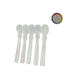 HIGH QUALITY NACRE MOTHER OF PEARL SPOON MINI SIZE FOR TEA DRINK CUSTOMIZE LOGO SEASHELL SPOON SET HOT SALE 2025 - Product Image 1