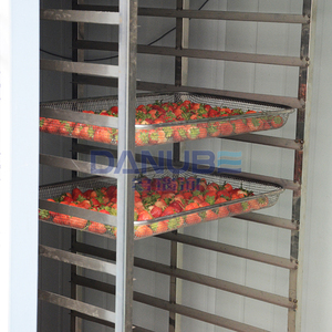 Energy Saving Fruit Drying Room Strawberry Drying Oven Room Strawberry Dehydrator Machine Heated Drying Room - Product Image 1