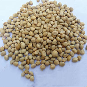 Die da Dou <span class=keywords><strong>Ipomoea</strong></span> turbinata clavo de olor natural crudo seco <span class=keywords><strong>Ipomoea</strong></span> turbinata frijoles para hierba - Product Image 2