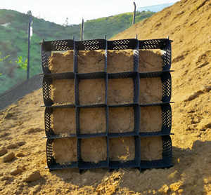 Cellules <span class=keywords><strong>de</strong></span> drainage en nid d'abeille, planche <span class=keywords><strong>de</strong></span> drainage, géocellule <span class=keywords><strong>de</strong></span> drainage 30 mm pour garage extérieur, toit, paysage, terrasses et patios - nid d'abeille - Product Image 5