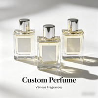 Eau de Parfum Liquide Fruité Boisé de Haute Qualité, Alternative au Designer, Technologie de Mélange Professionnelle pour Imitation Personnalisée