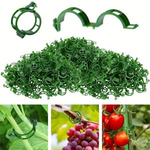 Clip de fixation en plastique pour tomates, accessoires de jardinage, outils de jardinage, clips de fixation pour plantes - Product Image 4
