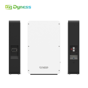 Dyness Powerbox Pro 51.2v 200ah lityum pil kutusu 48v 200ah lifepo4 bms içinde 10kwh ev enerji depolama sistemleri