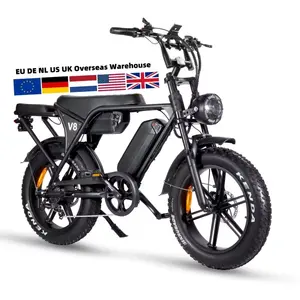 베스트 셀러 v8 250 와트 750w 전기 자전거 오프로드 20 인치 지방 타이어 전기 자전거 모든 지형 전자 자전거 V8 Ebike