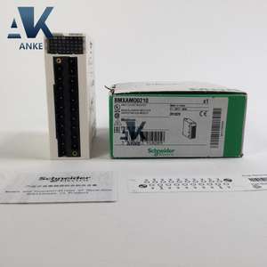 Módulo de Salida Analógica Aislada de Alto Nivel Schneider Modicon X80 BMXAMO0210 - Product Image 2