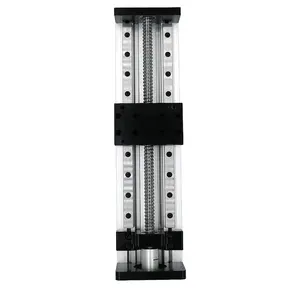 Mesin CNC aluminium cnc pekerjaan berat sabuk kecepatan tinggi driven rail modul rel geser dengan 2000mm 2500mm 3000mm stroke