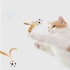 Juguete Educativo Ecológico para Gatos, Pelota con Plumas y Goma, Diseño Interactivo Moderno - Product Image 1