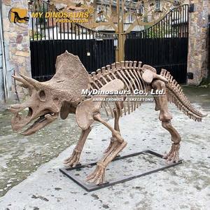 My Dino Theme Playground Tamaño real <span class=keywords><strong>Triceratops</strong></span> <span class=keywords><strong>Dinosaurio</strong></span> <span class=keywords><strong>Esqueleto</strong></span> - Product Image 1