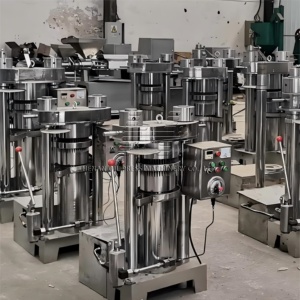 Machine à huile d'olive italienne, machine d'extraction d'huile d'olive domestique, machine d'extraction d'huile aromatique - Product Image 5