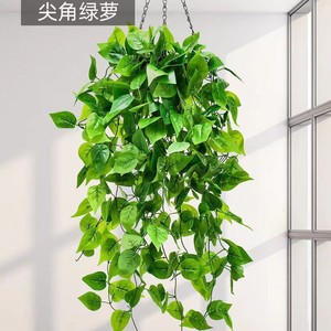 Décoration murale d'intérieur pour maison simulation rotin simulation feuille de pothos creeper vente en gros - Product Image 5