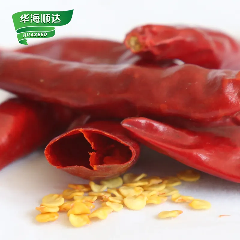 Grosir barang jumlah besar harga garam merica Sichuan cabai merah kering