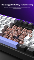 AULA H108 Nuevo Teclado Mecánico de Plástico Tri-Modo 2.4G BT con Cable, 108 Teclas, Interruptor Silencioso, Iluminación RGB, Ergonómico, Tipo-C para Oficina
