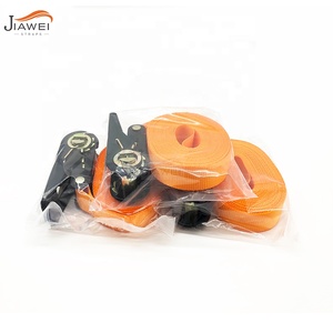 Correa de Amarre Personalizada de 1 Pulgada/25 mm con Revestimiento E-coating, Correa de Amarre sin Fin, Certificación GS, Cinta Catraca - Product Image 4