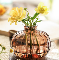 Chine Usine Ventes Directes 200ml Vase En Verre Couleur Personnalisée Petit Diffuseur Plante D'eau Conteneur pour Table pour Mariage