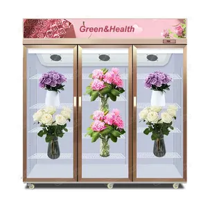 Display Blumen kühler Doppeltür Frisch halten Hochwertige Lüfter kühlung OEM Factory Glass CE Impasta trice Preis anzeige Kühlschrank