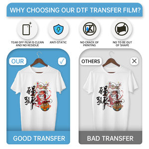 Lámina <span class=keywords><strong>de</strong></span> <span class=keywords><strong>Película</strong></span> PET DTF Tamaño A4, Doble Cara Mate, para Transferencia <span class=keywords><strong>de</strong></span> Impresión en Camisetas, Películas DTF - Product Image 5