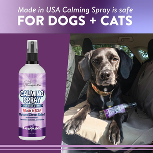 Aides d'entraînement pour chiens Petop en plastique : Spray <span class=keywords><strong>anti</strong></span>-mictions pour dresser votre animal à ne pas faire <span class=keywords><strong>pipi</strong></span> à l'intérieur ou à l'<span class=keywords><strong>extérieur</strong></span>, dissuasion <span class=keywords><strong>anti</strong></span>-marquage, écologique - Product Image 2