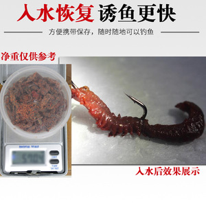 Nereis Verde en Conserva Semi Seca, 40g en Caja, Cebo para Pesca Marina, Pesca en Agua Salada, Pesca en Roca, Productos Originales - Product Image 4