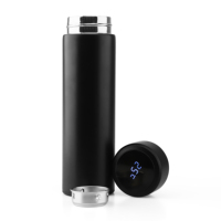 Bouteille d'eau intelligente en acier inoxydable, isolée sous vide, affichage de la température, Thermos en métal