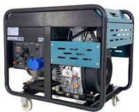 Binshi Power petit groupe électrogène portable à double carburant GPL NG GNL GNL biogaz essence essence générateurs 6kw 7kw 8kw 10kw 12kw 15kw
