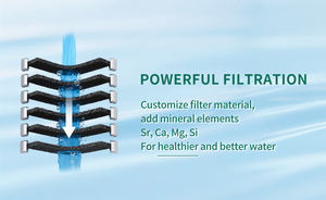 للبيع بالجملة من شركة تصنيع المعدات الأصلية خرطوشة استبدال نظام شامل 10/20 "إزالة الكلور ، شعار مخصص مقبول - Product Image 4