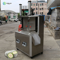 Hoge Efficiëntie Meloen En Fruit Dunschiller Machine Meloen Zaad Schilmachine