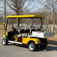 Voiturette de golf électrique tout-terrain homologuée pour la route, accessoires pour voiturette de golf Yamaha G29, buggy de golf tout-terrain pour les centres de villégiature et les hôtels