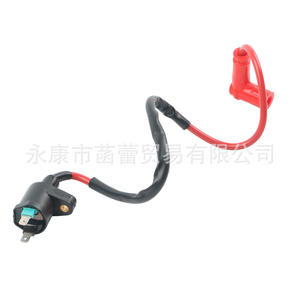 Cable de Colores GY6 para Modificación de Vehículos Todoterreno, Transformador de Alto Voltaje, Encendedor, Sistemas de Encendido Eléctrico para Motocicletas - Product Image 2