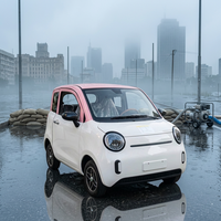 Vehículo Eléctrico Mini de 4 Plazas Fabricado en China, Nuevo, de Baja Velocidad, 1500W, 4 Puertas, Velocidad Máxima 45km/h