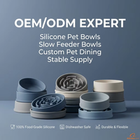 SILISUM Fournitures pour animaux de compagnie en silicone de qualité alimentaire personnalisées, accessoires d'alimentation et de toilettage pour animaux de compagnie OEM personnalisés, gamelle pour chien de qualité alimentaire, tapis à lécher