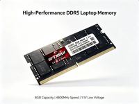OEM/Txrui High speed 8GB DDR5 4800mhz gaming RAM OEM/Txrui DDR5 RAM Gaming DDR5 RAM 8GB SODIMM DDR5 RAM DDR5 RAM for laptop