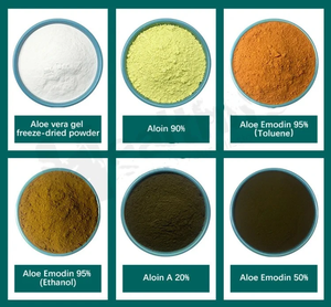 Ingrediente cosmético natural para el cuidado de la piel Extracto de gel de <span class=keywords><strong>Aloe</strong></span> <span class=keywords><strong>Vera</strong></span> Puro Emodin Aloin Aloevera Gel Polvo Liofilizado - Product Image 5