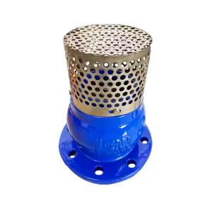 Filtro de Bomba de Alta Calidad OEM de Fábrica en Vietnam, Hierro Fundido Gris o Hierro Dúctil, Fundición con Certificación ISO9001 para Bomba Sumergible de Construcción - Product Image 1