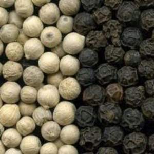 Pimienta blanca orgánica de Vietnam de alta calidad, nueva cosecha 630 GL, doble lavado, seca, cruda, mejor precio, mayorista, proveedor de alimentos superior - Product Image 2