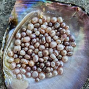 Vente en gros de perles d'huître en vrac coquille de fête naturelle mère moule <span class=keywords><strong>monstre</strong></span> vente de perles en vrac emballées sous vide - Product Image 3