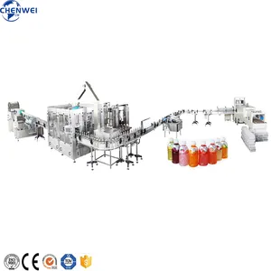 Small Scale Complete Fruit Flavored Beverage Fruit Juice Processing Production Line