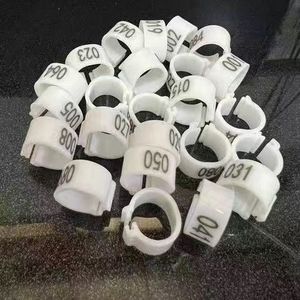Open Kleurrijke Vogel Voet <span class=keywords><strong>Ring</strong></span> 8Mm <span class=keywords><strong>Plastic</strong></span> Homing Duif Identificatie Ringen Kleurrijke Open Vogel Benodigdheden - Product Image 3