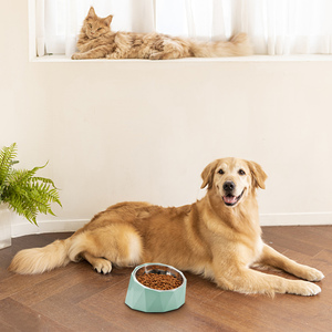 Wholesale <strong>Round</strong> Cat Basin Double Vacuum Custom <strong>Dog</strong> Food Stainless Steel <strong>Dog</strong> <strong>Bowl</strong> - Product Image 2