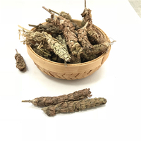 Thé de Prunella Vulgaris (Xia Ku Cao) en vrac/boîte/coupe – Spécialité de thé santé chinois
