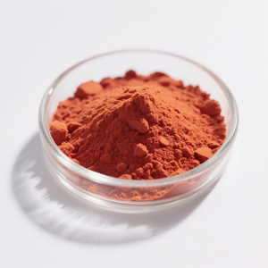 Polvo de Extracto de <span class=keywords><strong>Zanahoria</strong></span> Liofilizado Dulce de Alta Calidad al por Mayor, Polvo de Extracto de <span class=keywords><strong>Zanahoria</strong></span> Natural - Product Image 5