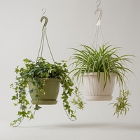 Pot Anggrek Plastik Chelsea Chia Pot Cross-border, Desain Minimalis Eropa, Kokoh dan Tahan Lama, Cocok untuk Balkon dan Dalam Ruangan