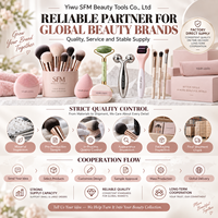 Collection d'outils de beauté personnalisés tout-en-un, OEM ODM, accessoires de maquillage en marque privée pour les marques et les grossistes
