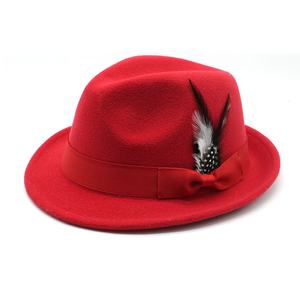 Nuevo Sombrero Fedora Unisex Pequeño con Bordado a Mano de Plumas, Casual, para las Cuatro Estaciones, 100% Poliéster - Product Image 5