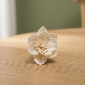 Wholesale White 5 cm Sola Wood Artificial Thailand Dried <b>Reed</b> <b>Diffuser</b> Environmental Friendly Wedding Decorative Flowers Plants - Product Image 3