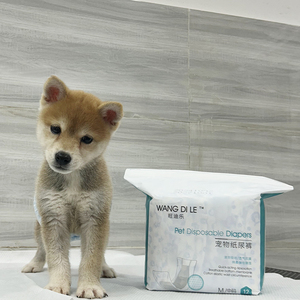 Couches pour chiens imperméables FP, super absorbantes, culottes pour la période des chiens mâles, couches lavables pour l'<span class=keywords><strong>incontinence</strong></span> canine - Product Image 4