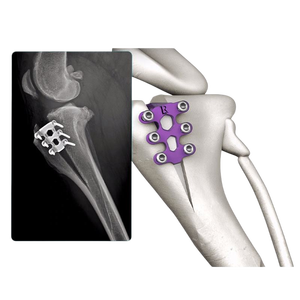 อุปกรณ์ผ่าตัดคุณภาพสูง Dafinki Orthopedic TTA Cage ขายดีสำหรับสัตวแพทย์ วัสดุสิ้นเปลืองทางการแพทย์ เหล็กกล้า คลาส 3 - Product Image 1